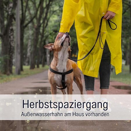 Ferienloft Sternenblick - Strandnah, Haustierfreundlich, Tolle Kueche, Optimal Fuer Workation, 4 Personen Штайнберг Экстерьер фото