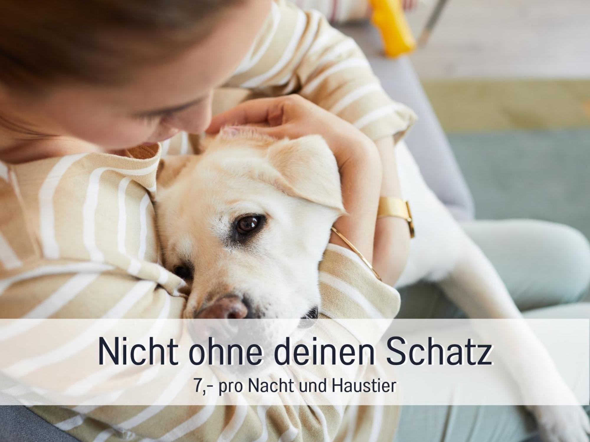 Ferienloft Sternenblick - Strandnah, Haustierfreundlich, Tolle Kueche, Optimal Fuer Workation, 4 Personen Штайнберг Экстерьер фото