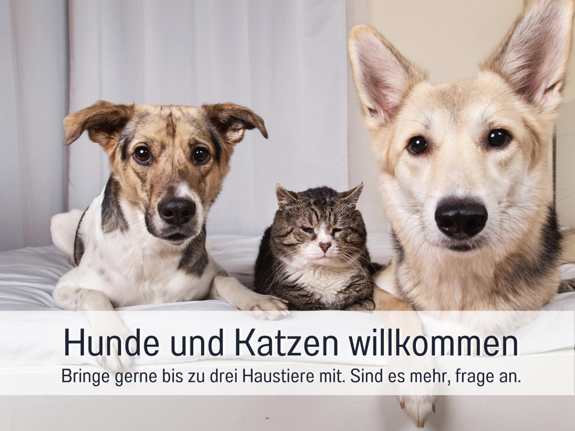 Ferienloft Sternenblick - Strandnah, Haustierfreundlich, Tolle Kueche, Optimal Fuer Workation, 4 Personen Штайнберг Экстерьер фото