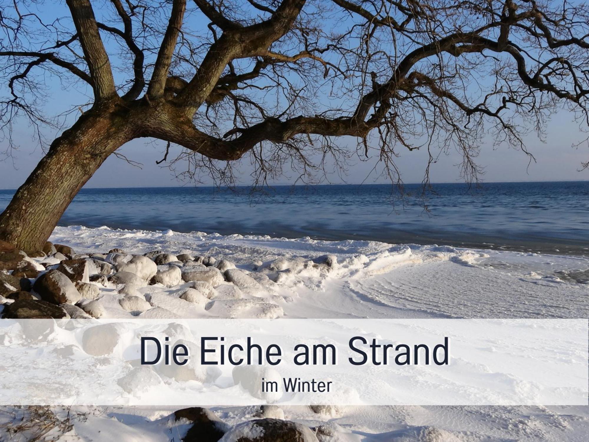 Ferienloft Sternenblick - Strandnah, Haustierfreundlich, Tolle Kueche, Optimal Fuer Workation, 4 Personen Штайнберг Экстерьер фото