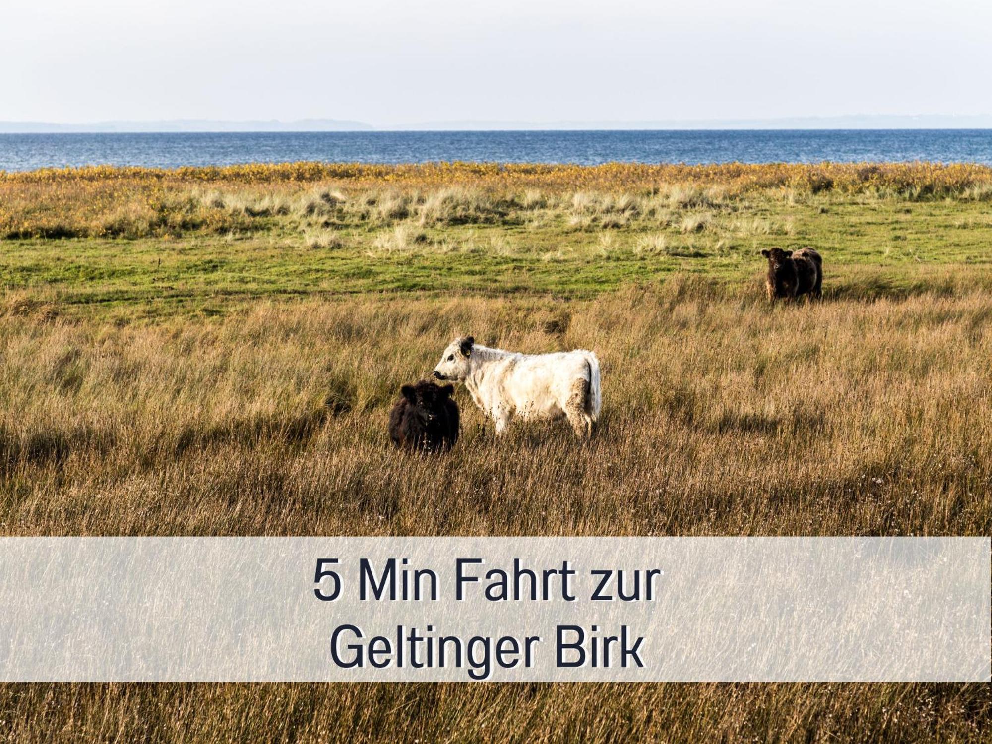 Ferienloft Sternenblick - Strandnah, Haustierfreundlich, Tolle Kueche, Optimal Fuer Workation, 4 Personen Штайнберг Экстерьер фото